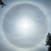Halo