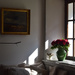 the reading corner