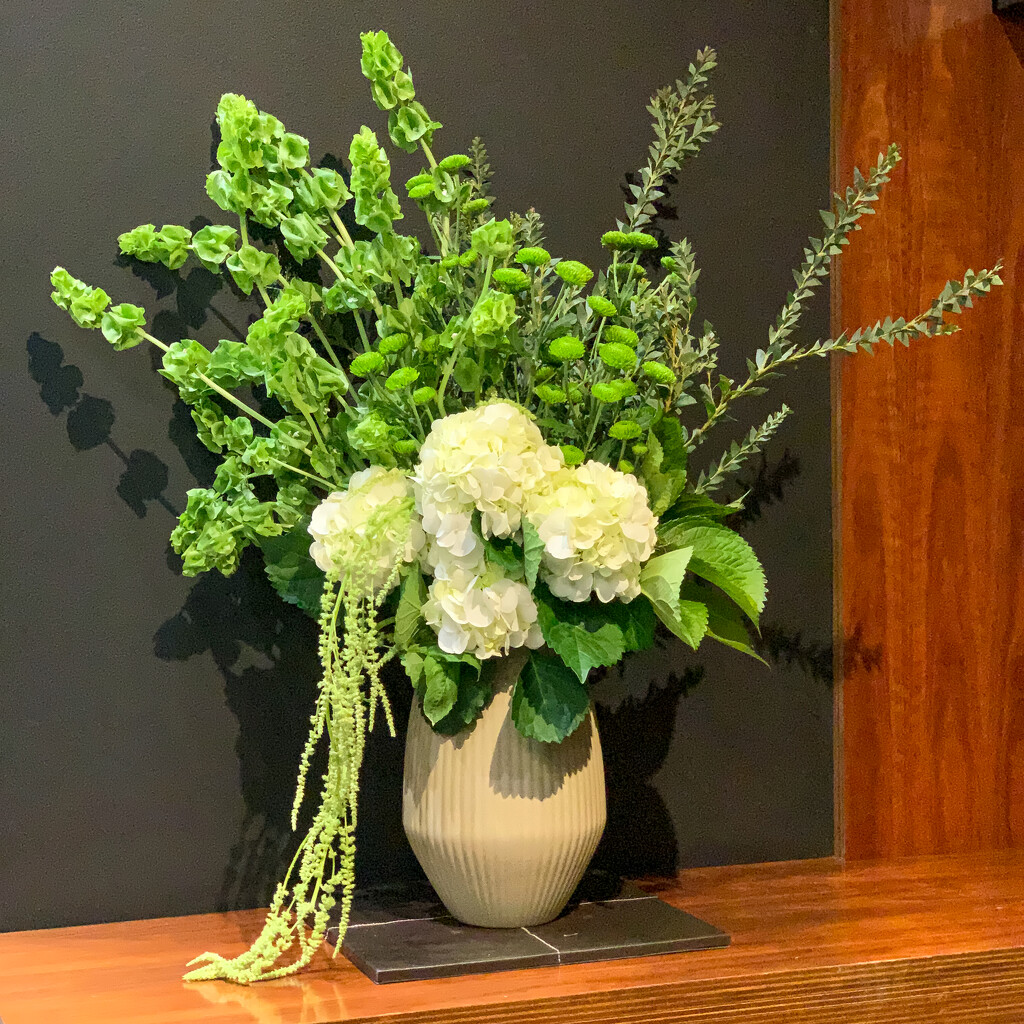 Floral Art by briaan