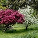 H&H in Nature (7) by rensala