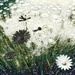 No Mow May in Abstract (7)  by rensala