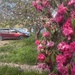 From living room window