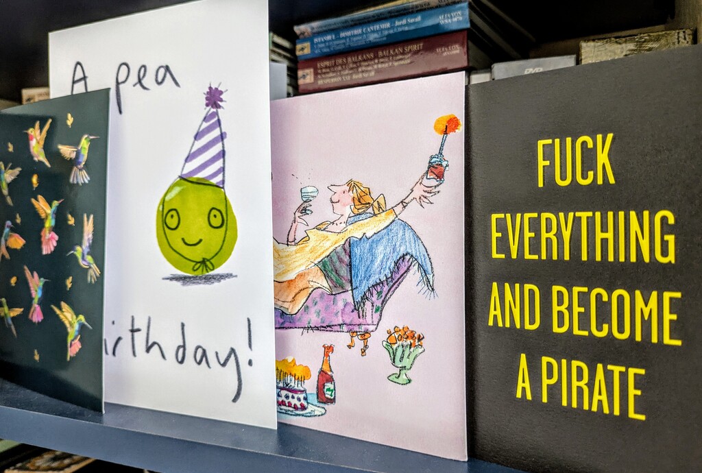 F*** everything and become a pirate by boxplayer