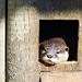 No, I'm not coming out it's far too cold!  by bigmxx