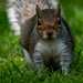 I know you have nuts
