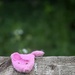 His little piggy didn’t make it home