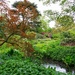 Wilder Garden