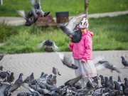 7th May 2025 - A girl in a pink jacket and doves