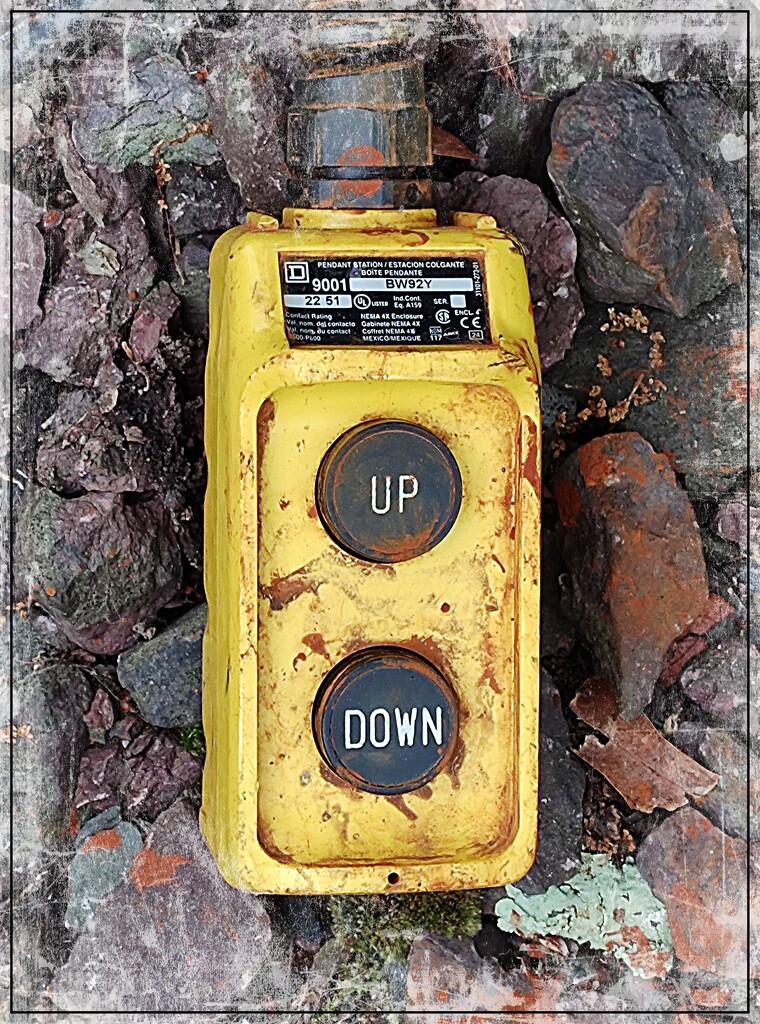 Up or Down by olivetreeann