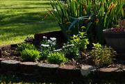 7th May 2025 - A little corner