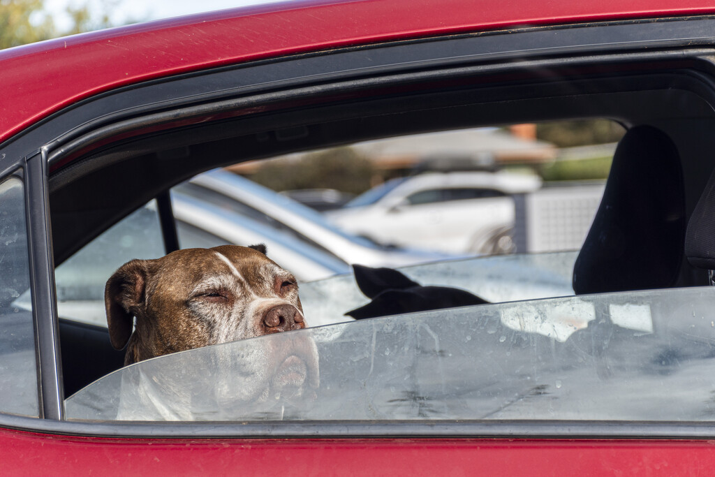 The see me rollin' by nannasgotitgoingon