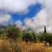 Low Cloud 