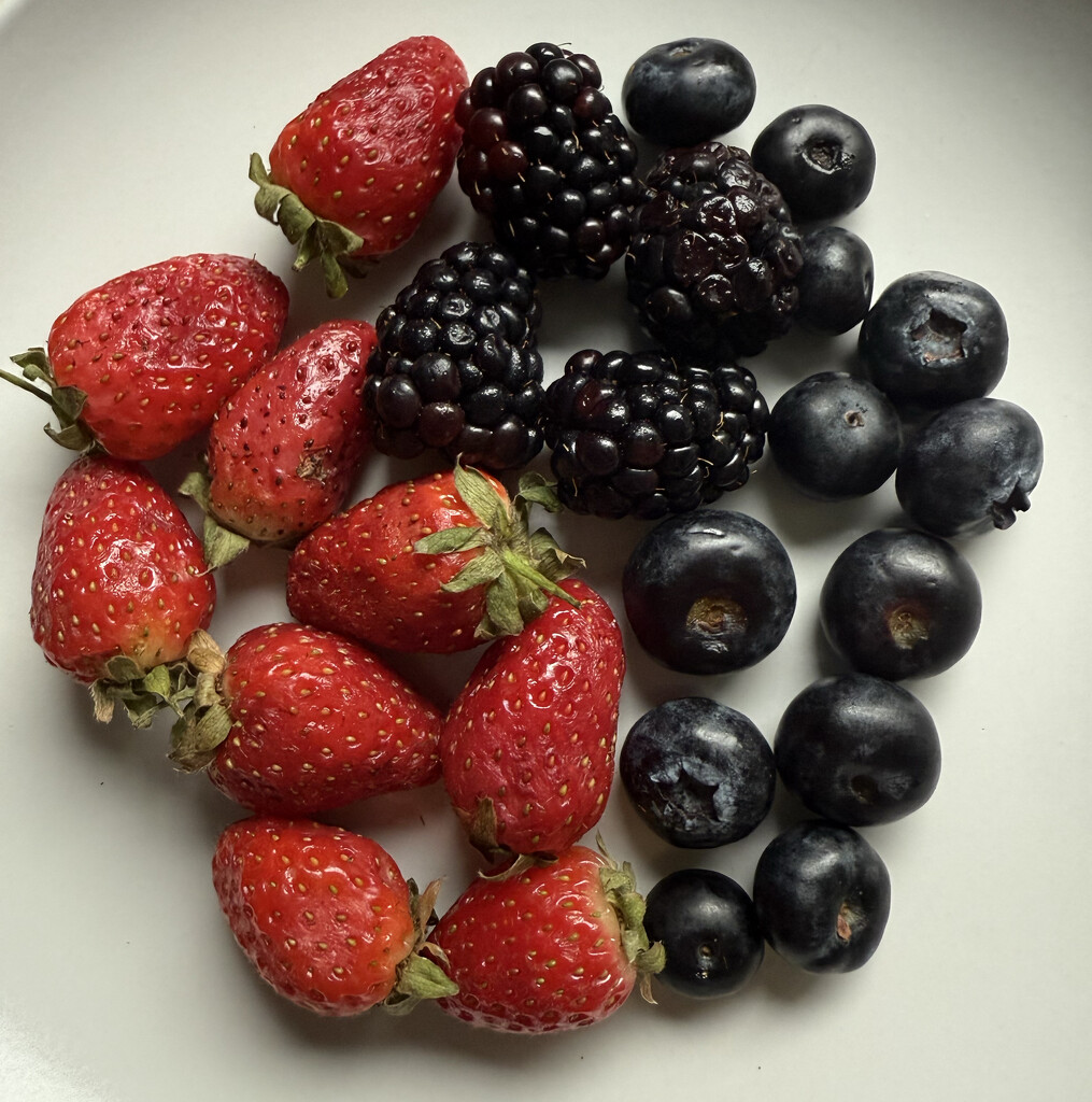 half red and half black berries by koalagardens