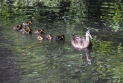 8th May 2025 - Family Outings 