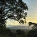 Golden hour by pusspup