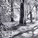 New path