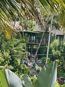 29th Apr 2025 - Swing for two. 