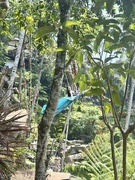 29th Apr 2025 - Swing in blue. 