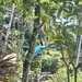 Swing in blue. 