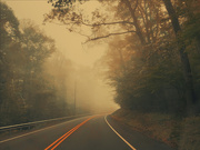 8th May 2025 - Foggy morning 
