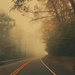 Foggy morning 