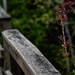Railing