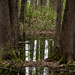 Reflecting pool