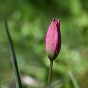 8th May 2025 - 494