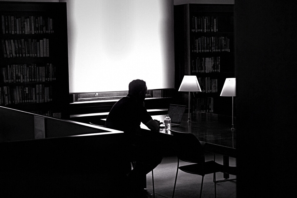 Studying hard in the dark by johnfalconer