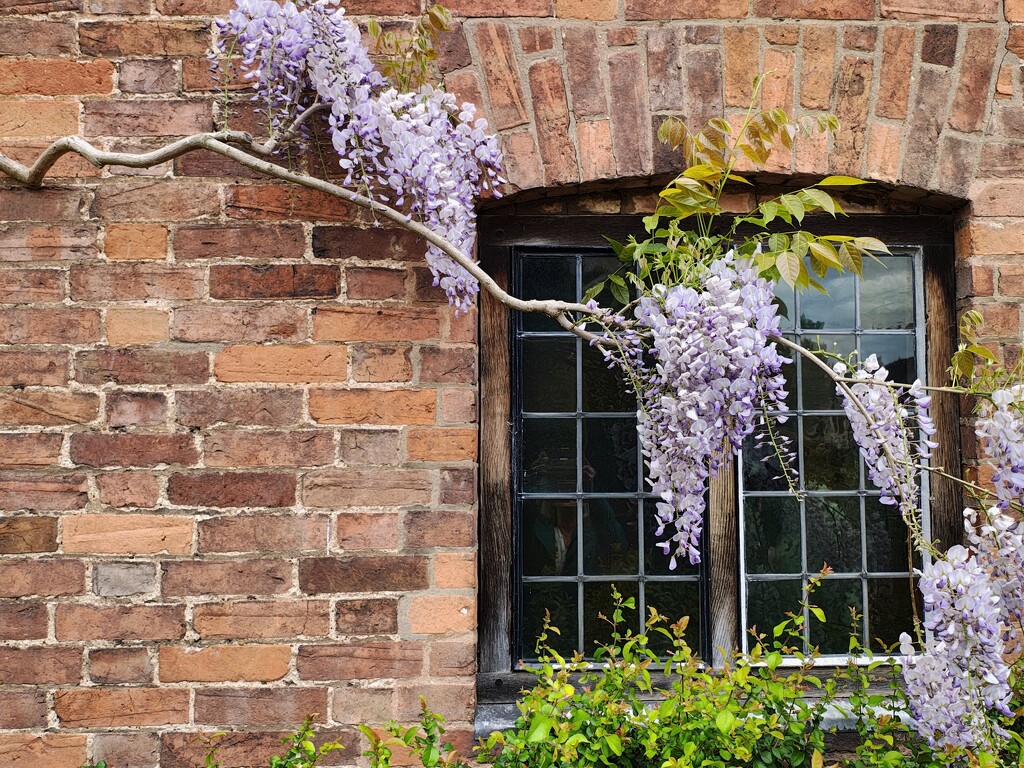 Shakespeare's Birthplace by 30pics4jackiesdiamond