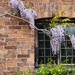 Shakespeare's Birthplace