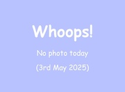 3rd May 2025 - 3rd May 2025