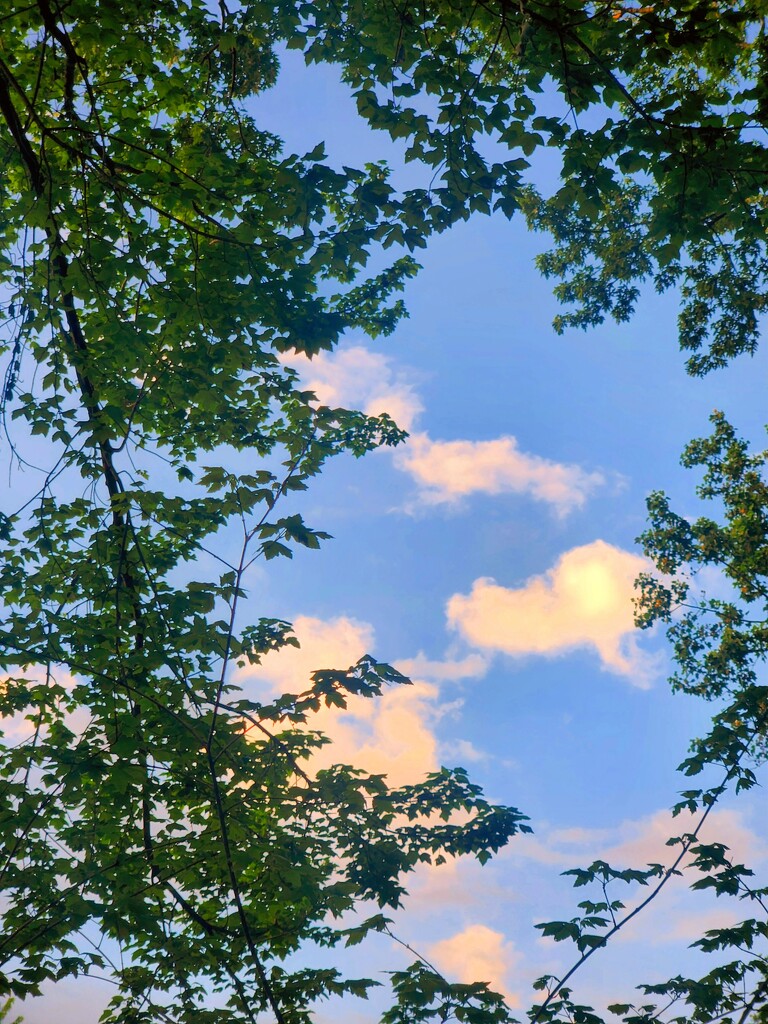 Morning Sky by alyclark