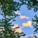 Morning Sky