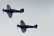 8th May 2025 - The Unmistakeable Sound of Merlins
