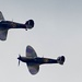 The Unmistakeable Sound of Merlins