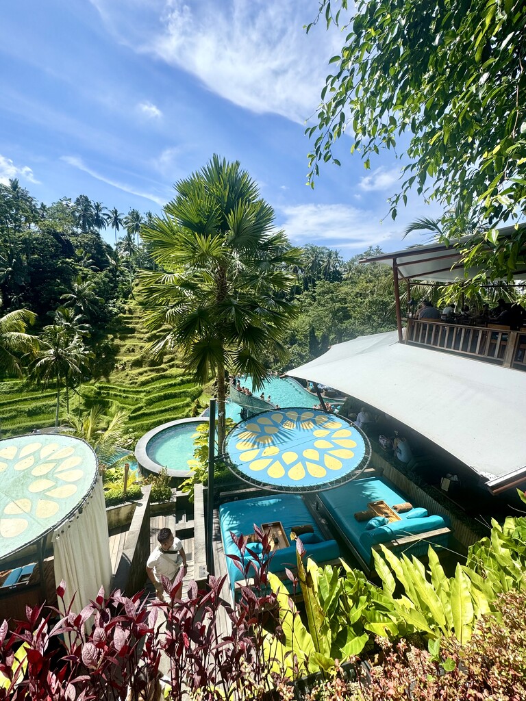 In Ubud.  by cocobella