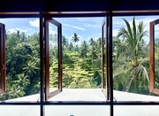 29th Apr 2025 - Window to the rice fields. 