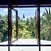 Window to the rice fields. 