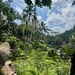 Ubud. 
