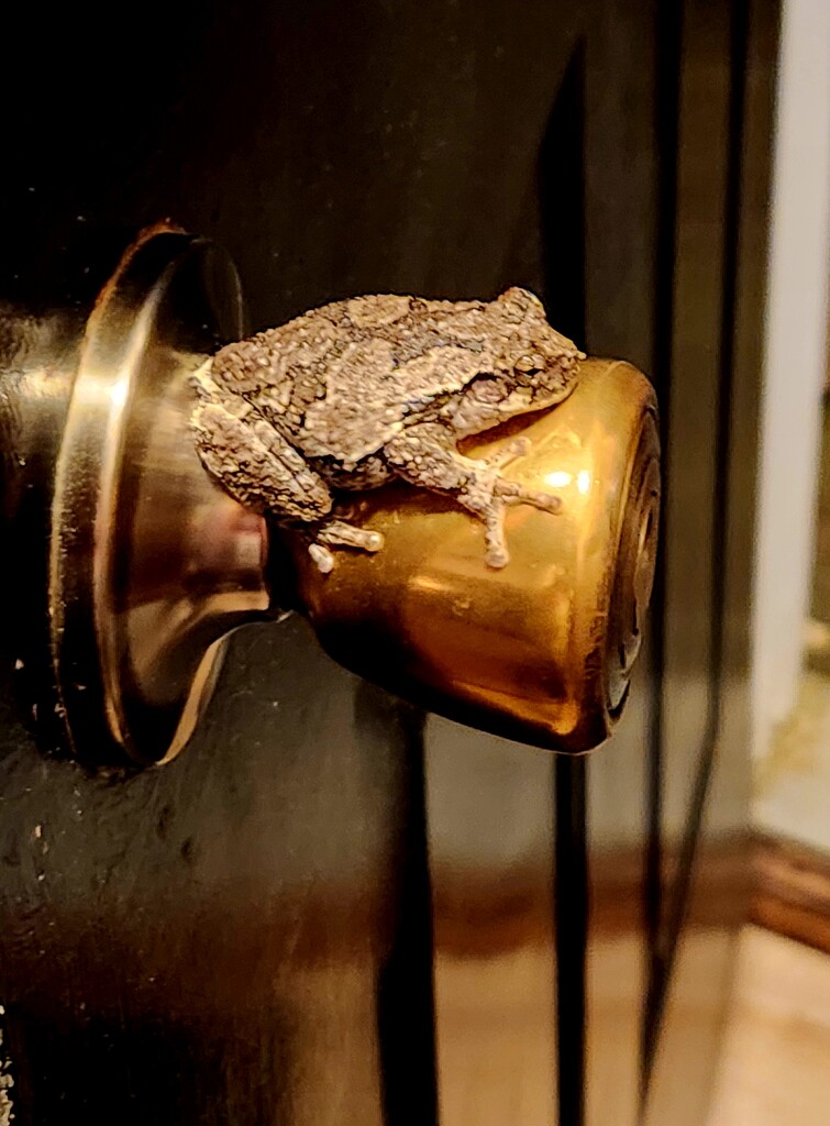 Sitting Pretty by jo38