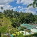 Pools in the rice fields. 