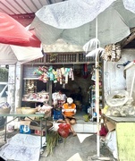 30th Apr 2025 - The seller. 