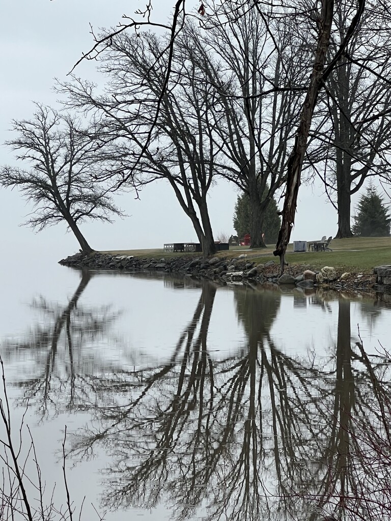 Foggy Morning  by radiogirl