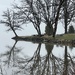Foggy Morning 