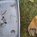 gardening