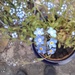 turning white when fertilised 