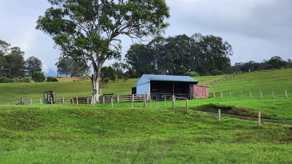 Abandoned cowshed by noona365