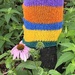 A few wildflowers are left 