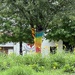 Wildflowers and tree sweaters 
